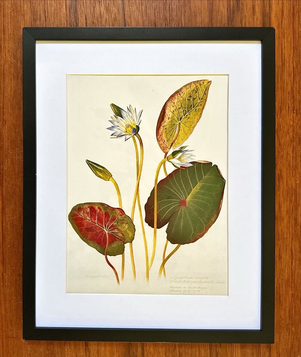 Framed Flowers Botanical Wall Art 11x14